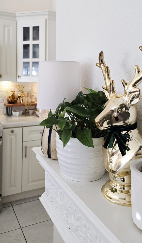 Elegant gold stag bust on a Kitchen shelf, a mini lamp and a lemon meringue pothos