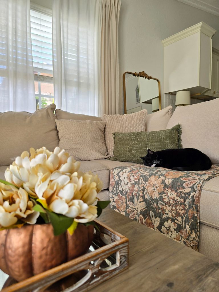 Tuxedo cat napping on an autumnal floral throw with green and cream pillows on the family room sofa.