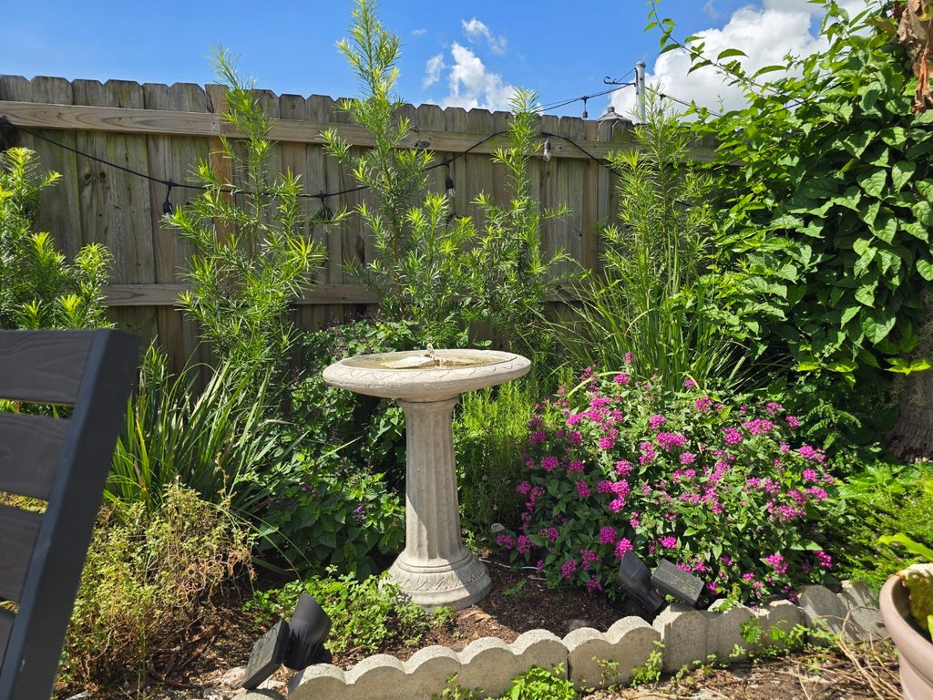 Concrete birdbath surrounded by flowering plants and lush greenery in the summer garden.