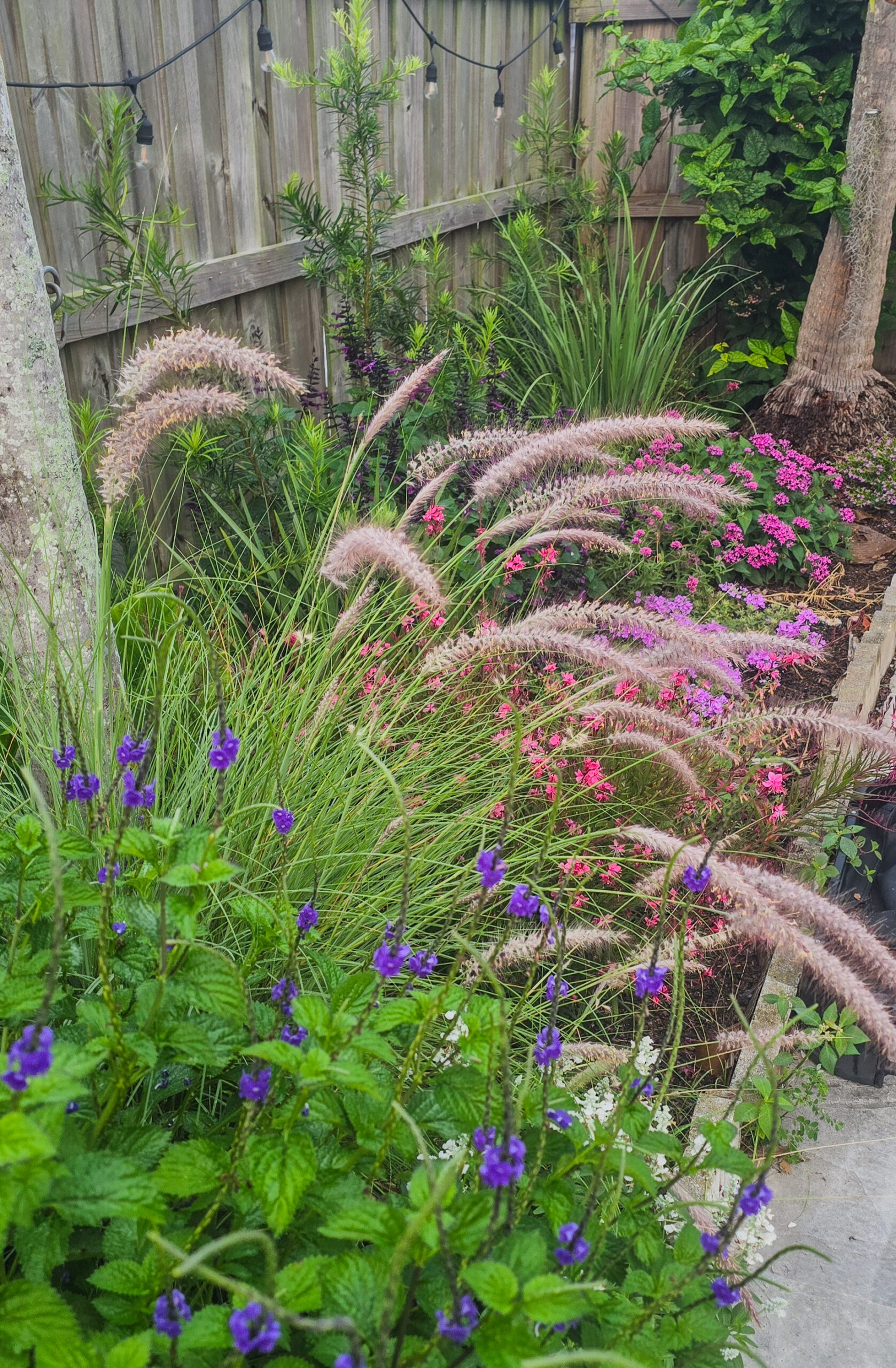 Lush backyard garden with purple porter weed, ornamental grasses, and layered greenery creating a peaceful landscape.