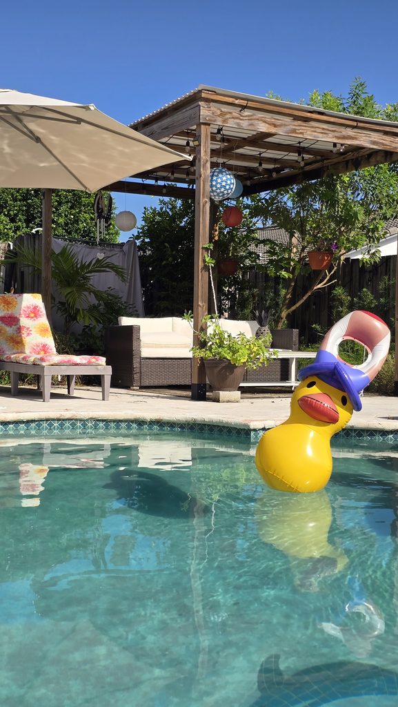 Swimming pool with a large inflatable duck on a sunny September day in South Florida.