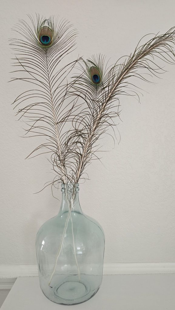 Three peacock feathers fanned in a simple glass jug against a plain wall.