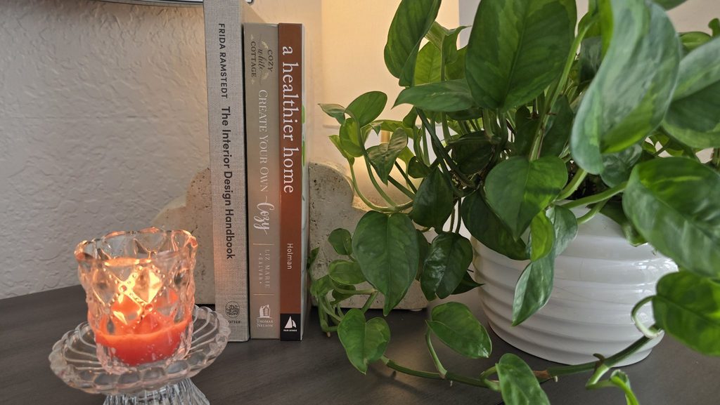 A surface styled with a potted pothos plant, a stack of design books, a candle, and a stone bookend.