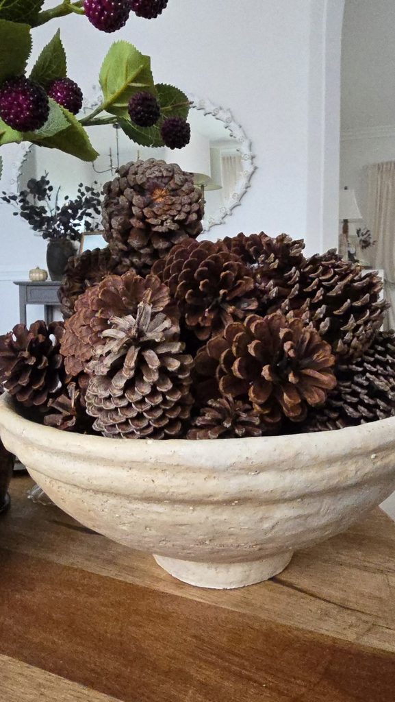 Stone bowl of pinecones collected at the park, styled on a console with a mirror and lit lamp behind it.