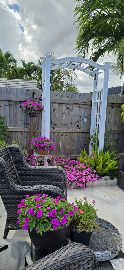 Supertunia Vista Bubblegum petunia and Supertunia Vista Jazzberry